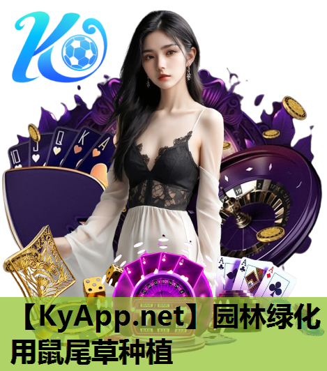 园林绿化用鼠尾草种植