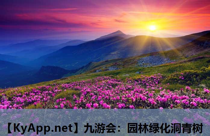 九游会：园林绿化洞青树