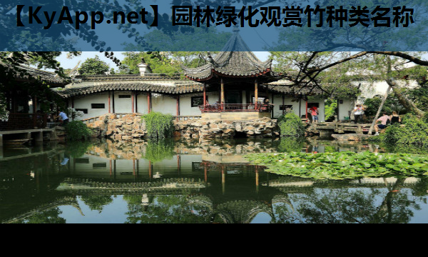 园林绿化观赏竹种类名称