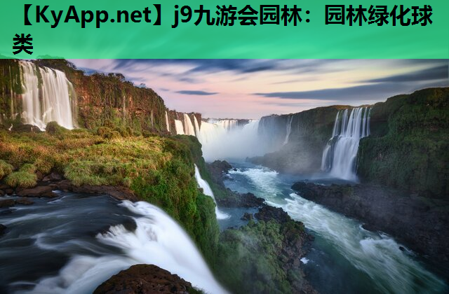j9九游会园林：园林绿化球类