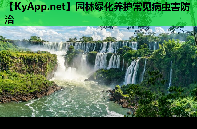 园林绿化养护常见病虫害防治