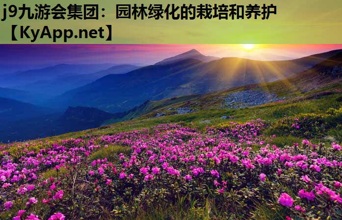 j9九游会集团：园林绿化的栽培和养护