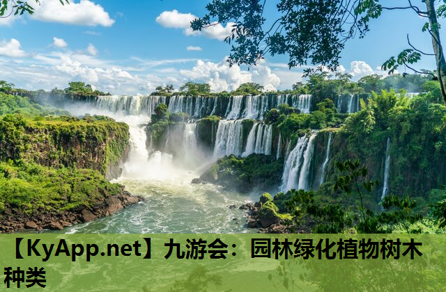 九游会：园林绿化植物树木种类