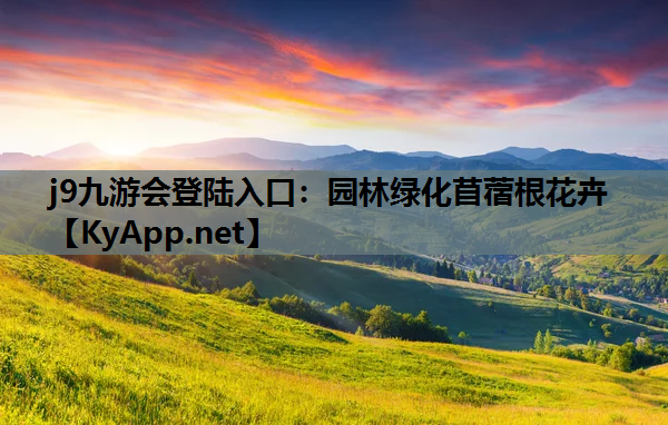 j9九游会登陆入口：园林绿化苜蓿根花卉