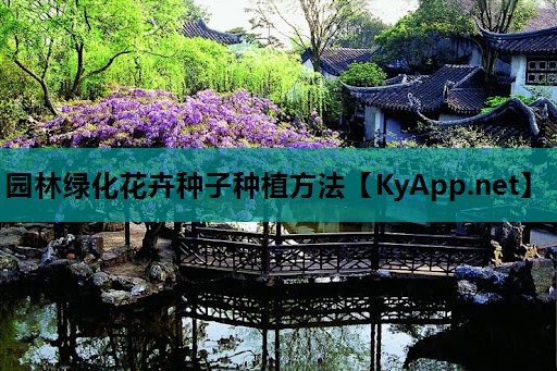 园林绿化花卉种子种植方法