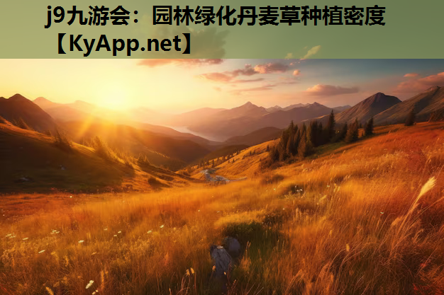 j9九游会：园林绿化丹麦草种植密度