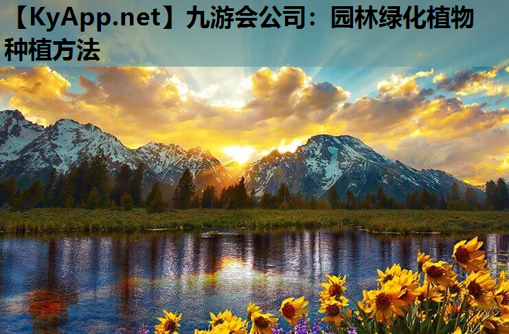 园林绿化植物种植方法