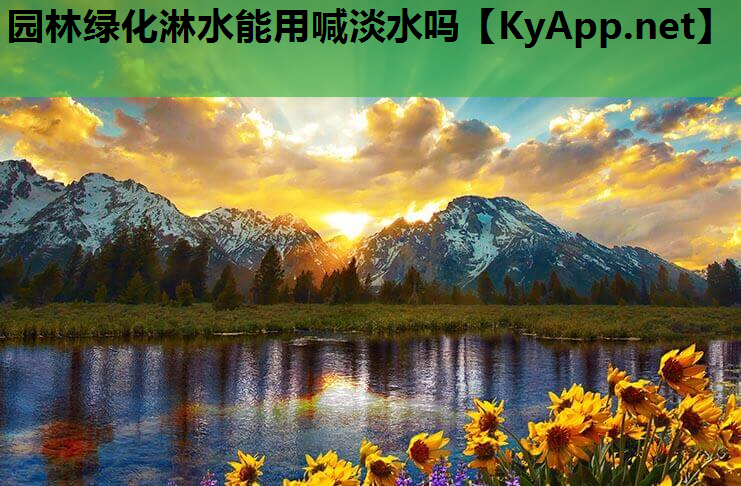 园林绿化淋水能用喊淡水吗