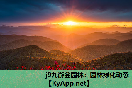园林绿化动态