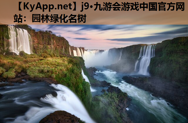 园林绿化名树