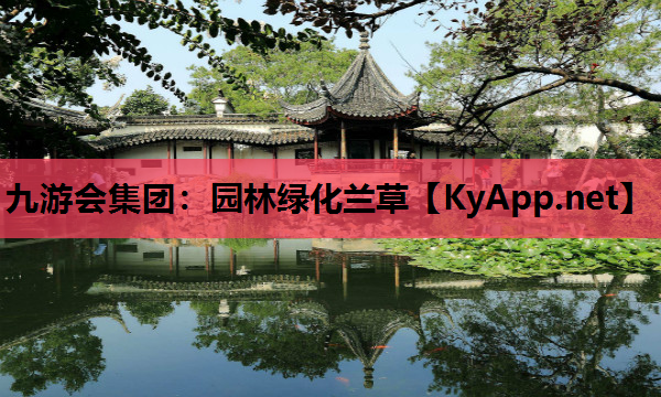 园林绿化兰草