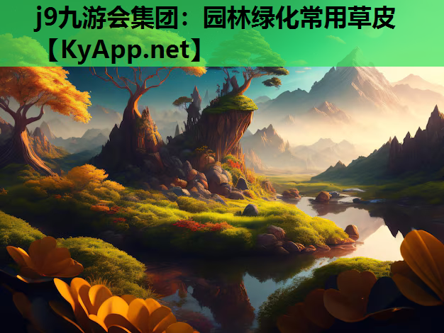 园林绿化常用草皮