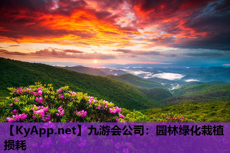 园林绿化栽植损耗