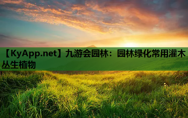 园林绿化常用灌木丛生植物