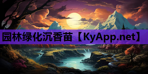 园林绿化沉香苗