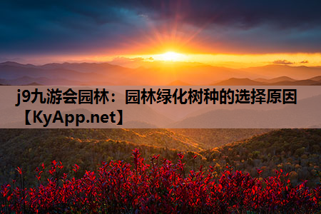 园林绿化树种的选择原因