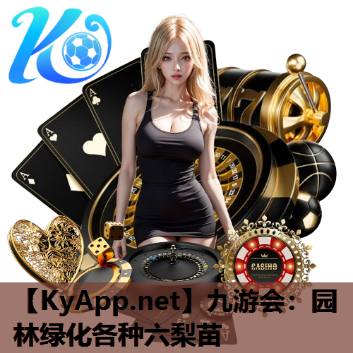 园林绿化各种六梨苗
