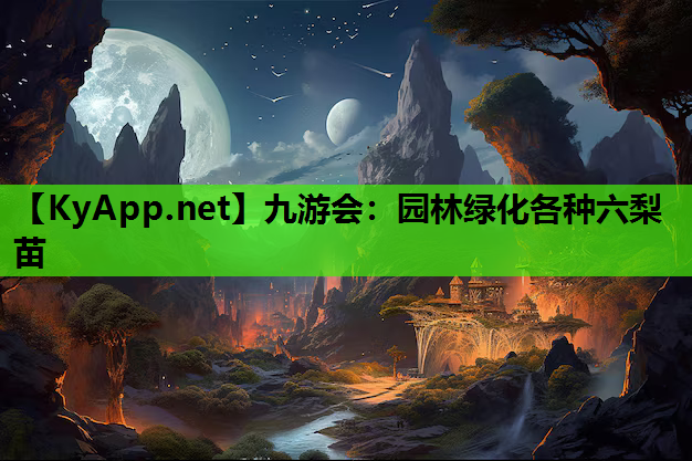 园林绿化各种六梨苗