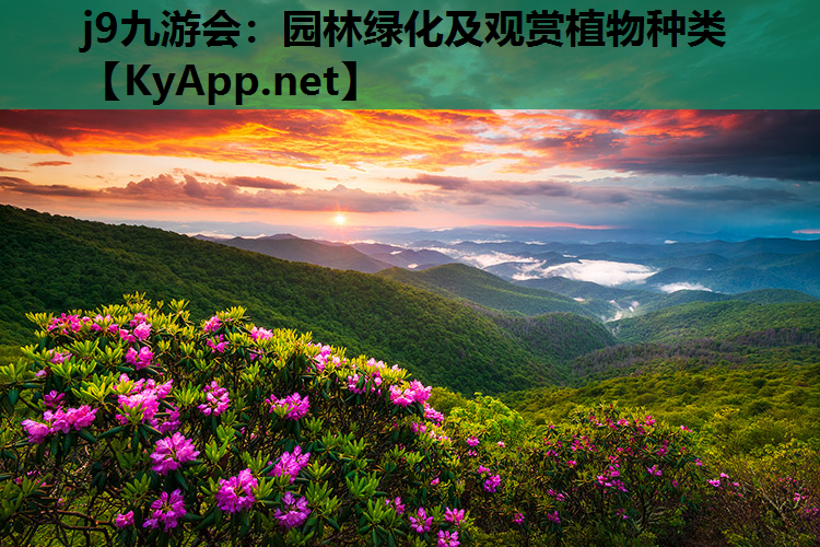 园林绿化及观赏植物种类
