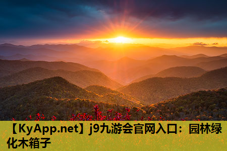 园林绿化木箱子
