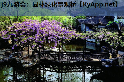 园林绿化景观桥
