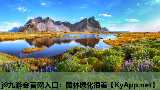 园林绿化很差
