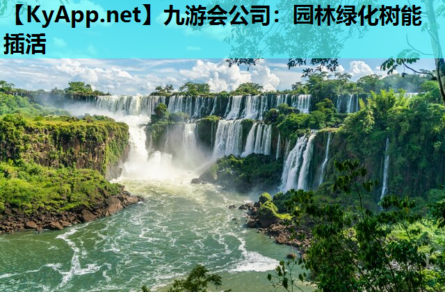 园林绿化树能插活