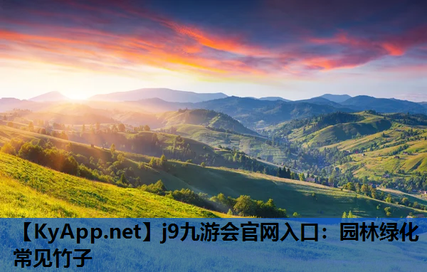 园林绿化常见竹子