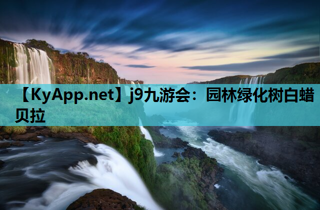 园林绿化树白蜡贝拉