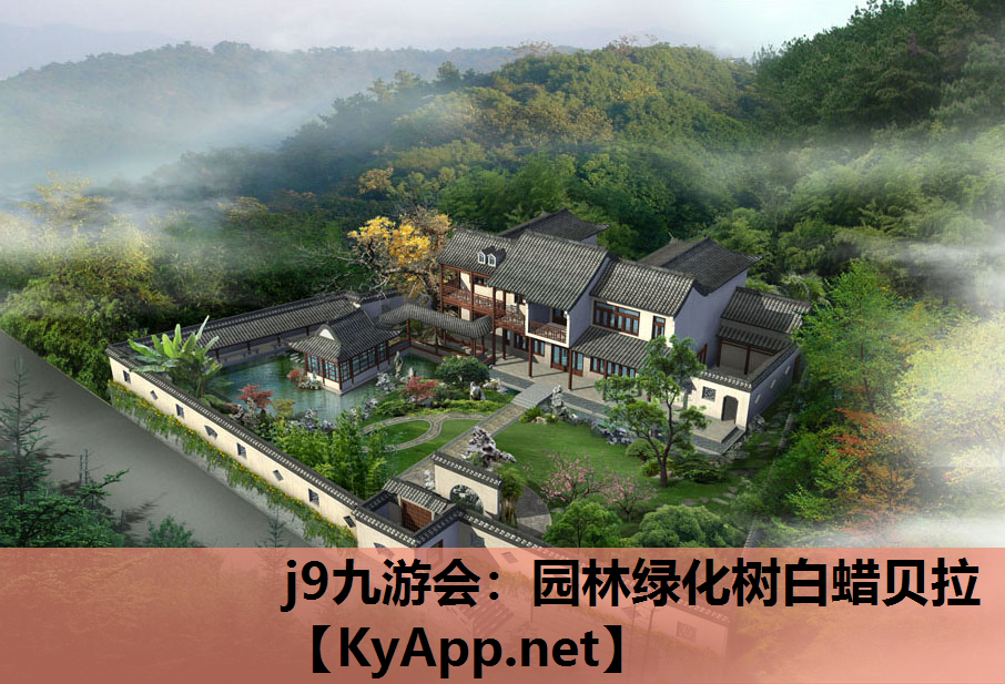 园林绿化树白蜡贝拉