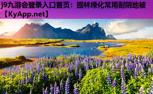 园林绿化常用耐阴地被