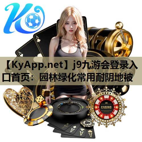 园林绿化常用耐阴地被
