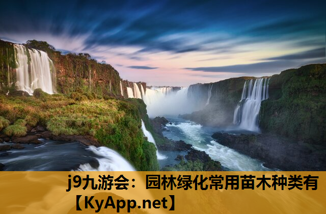 园林绿化常用苗木种类有