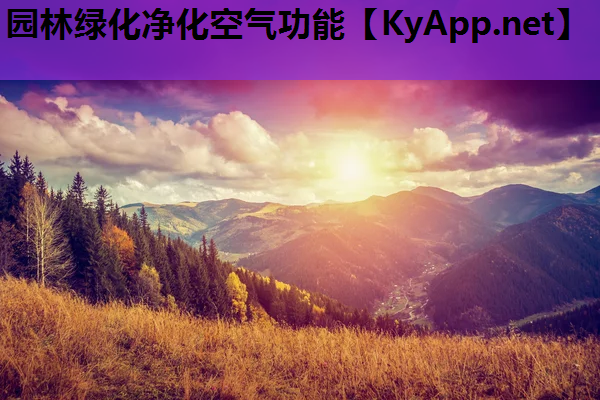 园林绿化净化空气功能