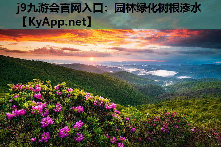 园林绿化树根渗水