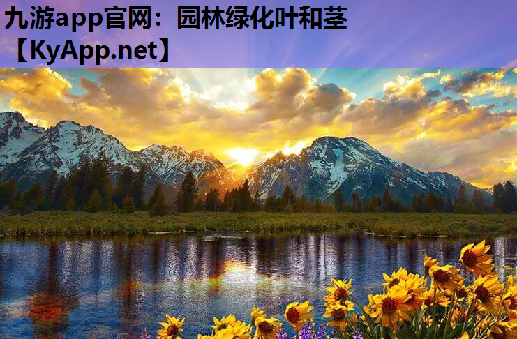园林绿化叶和茎