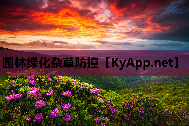 园林绿化杂草防控