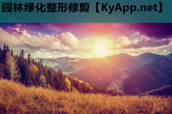 园林绿化整形修剪