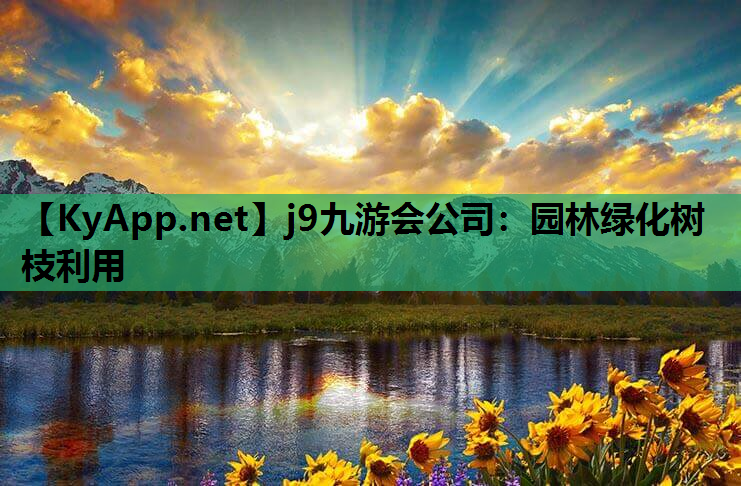 园林绿化树枝利用