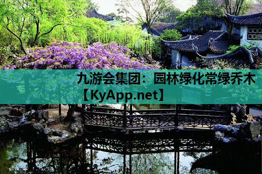 园林绿化常绿乔木
