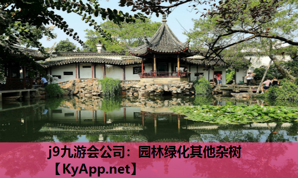 园林绿化其他杂树