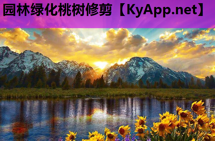 园林绿化桃树修剪