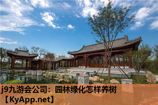 园林绿化怎样养树