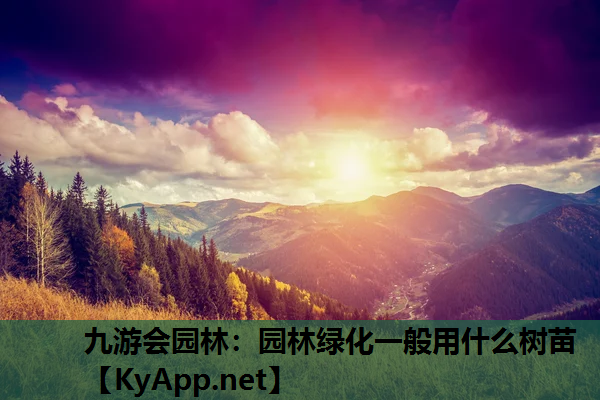 园林绿化一般用什么树苗
