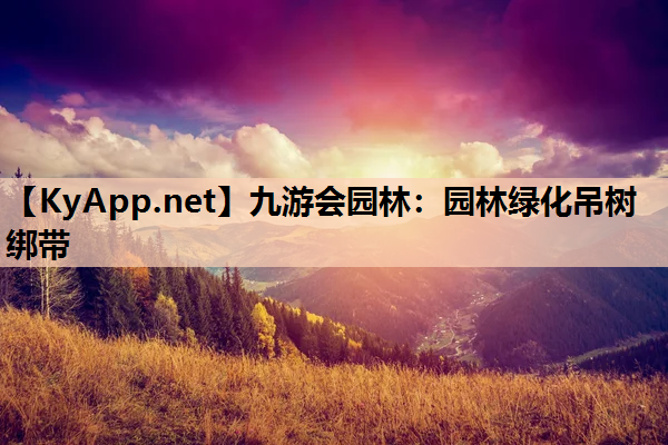 园林绿化吊树绑带