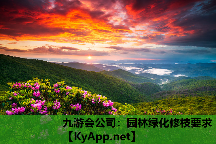 园林绿化修枝要求
