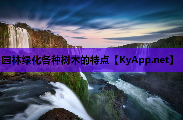 园林绿化各种树木的特点