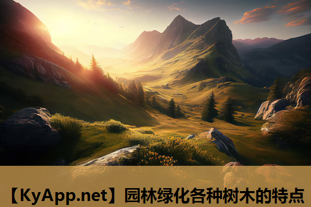 园林绿化各种树木的特点