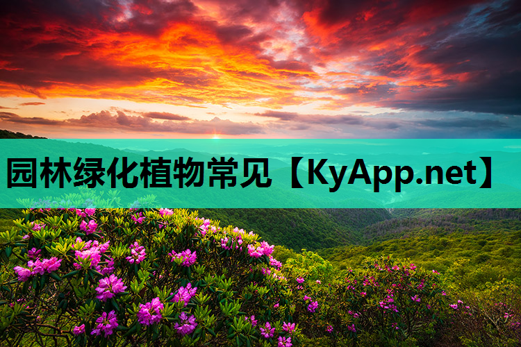 园林绿化植物常见