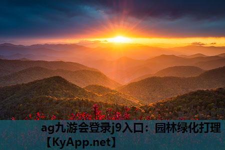 园林绿化打理